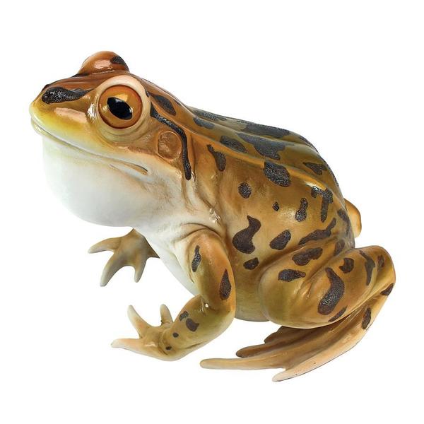 Design Toscano Lester, the Leopard Frog Statue JQ6119